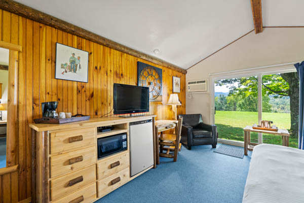 Guest room with TV, fridge, and comfy chair. And patio with lawn view.