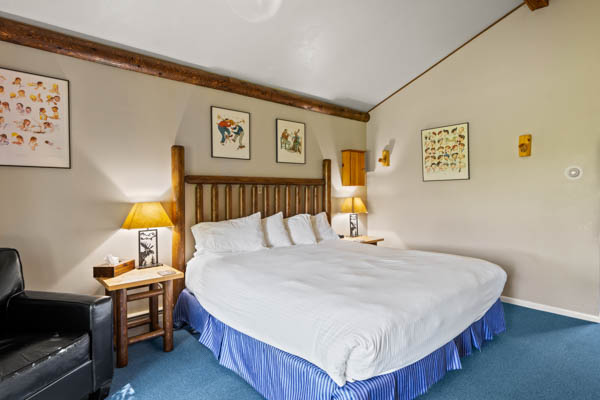 room 12 features a deluxe king bed with duvet comforter and a cozy chair.