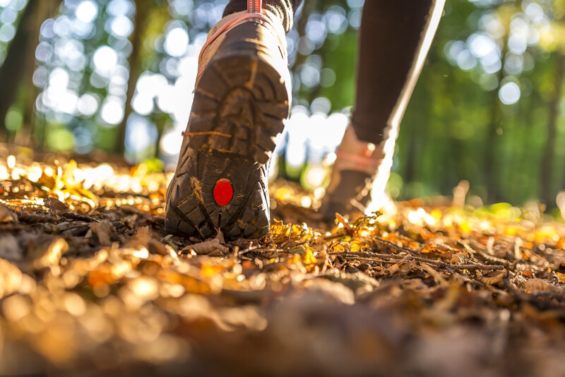 canstockphoto15721184 hiking