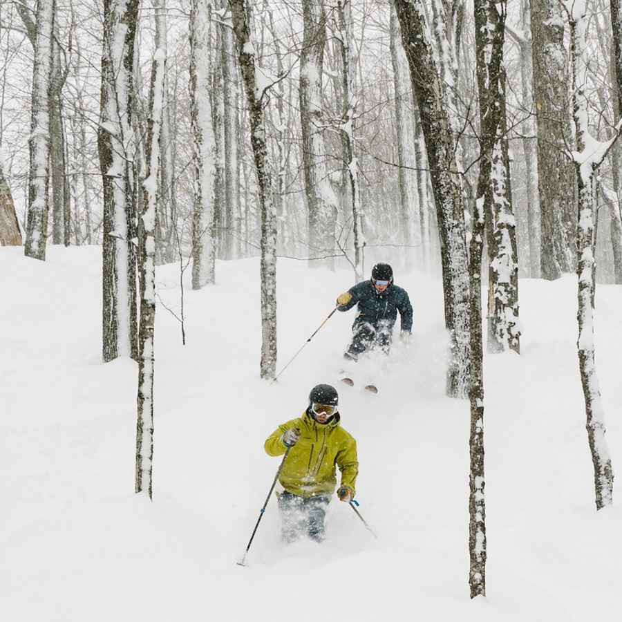pair of people snow skiing in the trees.